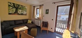 ciao-aschau Gschwendtnerhof Ap12 Göbel